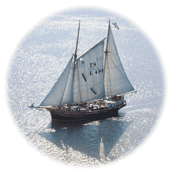 astrid (49 KB)